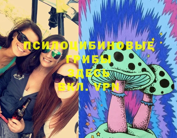 стафф Киреевск