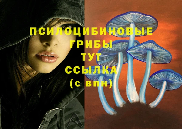 ALPHA PVP Карпинск