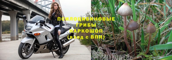 стафф Киреевск