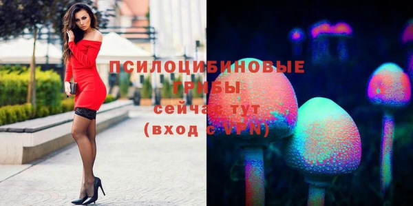 стафф Киреевск